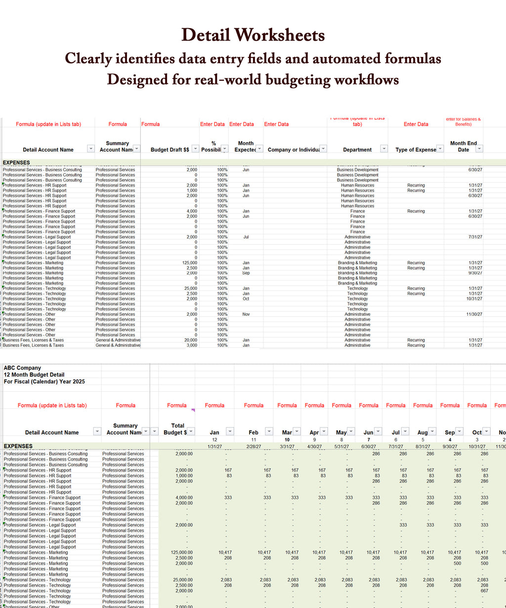 Professional Budgeting System | Excel Financial Workbook | Automated Budget Reports & Executive Dashboards | Small, Mid-Sized, Nonprofits