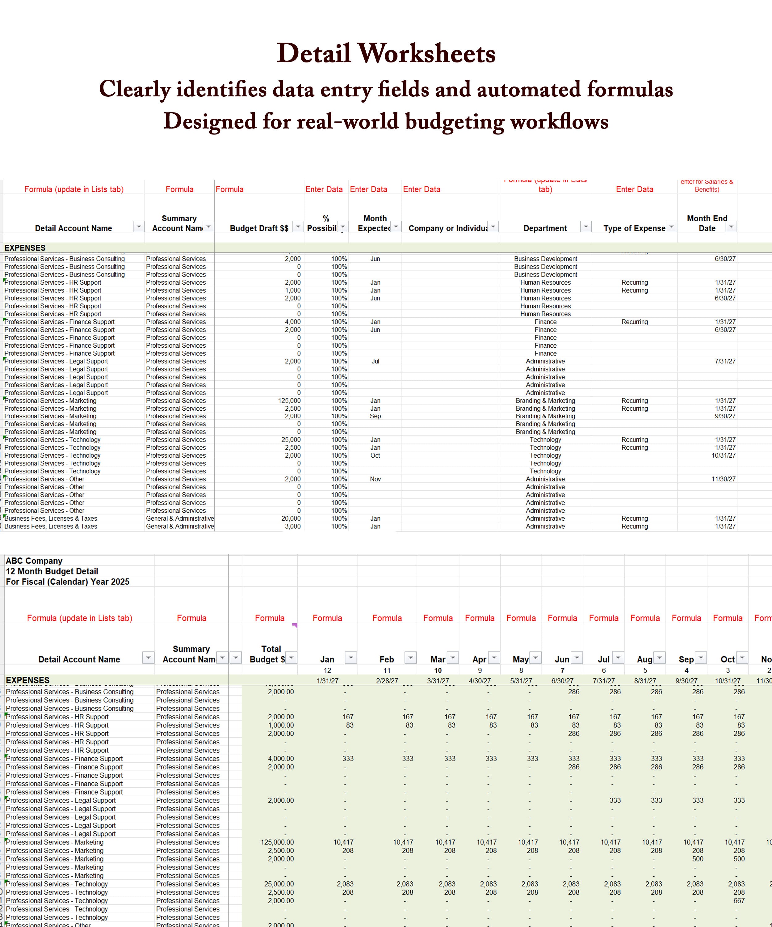 Professional Budgeting System | Excel Financial Workbook | Automated Budget Reports & Executive Dashboards | Small, Mid-Sized, Nonprofits