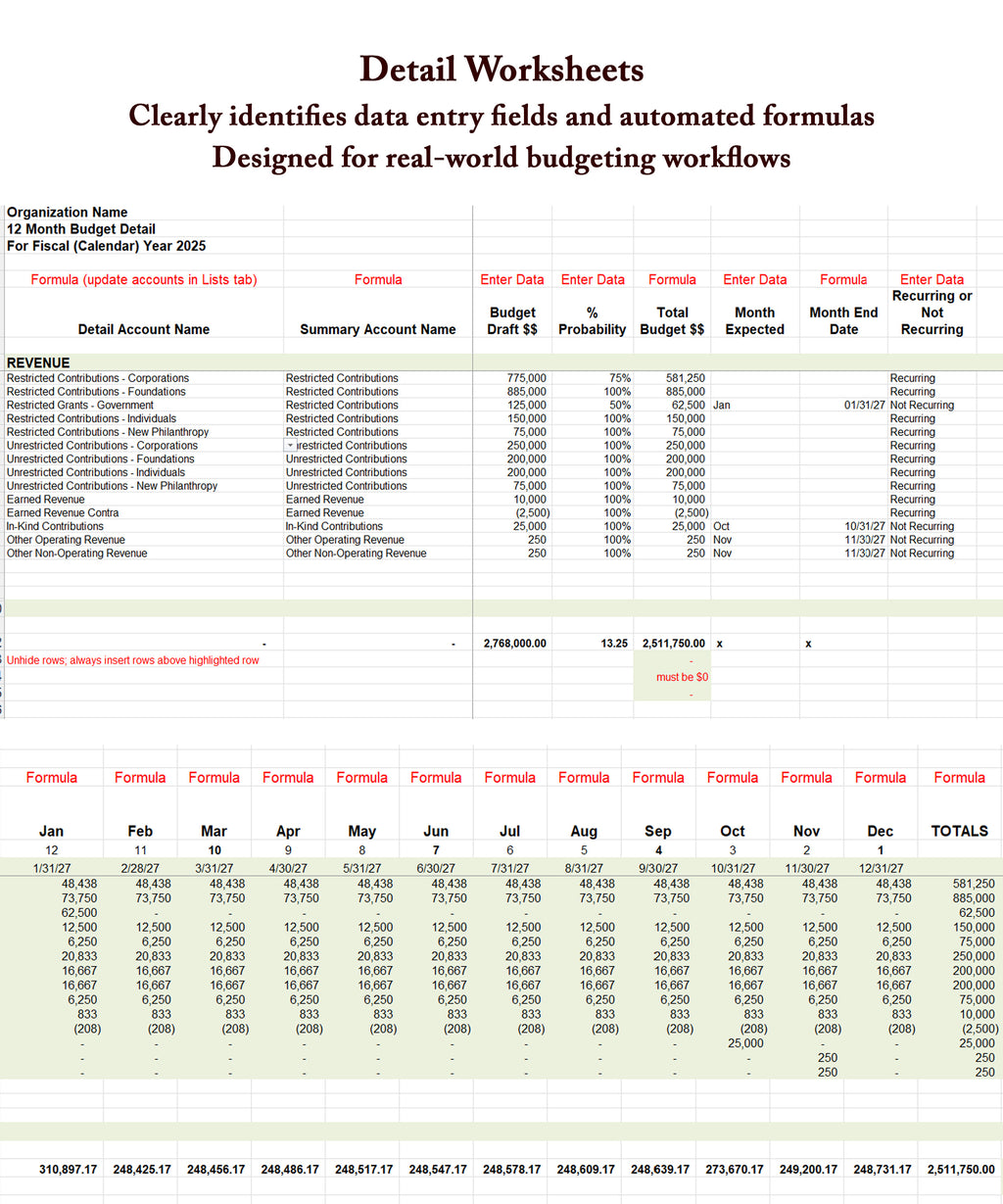 Professional Budgeting System | Excel Financial Workbook | Automated Budget Reports & Executive Dashboards | Small, Mid-Sized, Nonprofits